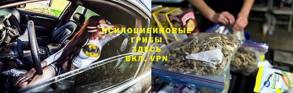 ГАЛЛЮЦИНОГЕННЫЕ ГРИБЫ Белоозёрский